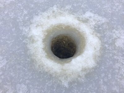 Sääjärvi (35.840.1.004)-Metsänvartijan tila, Haitintupa-ObsIMG-201801141400-8.jpg