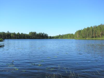 Kotilampi.JPG